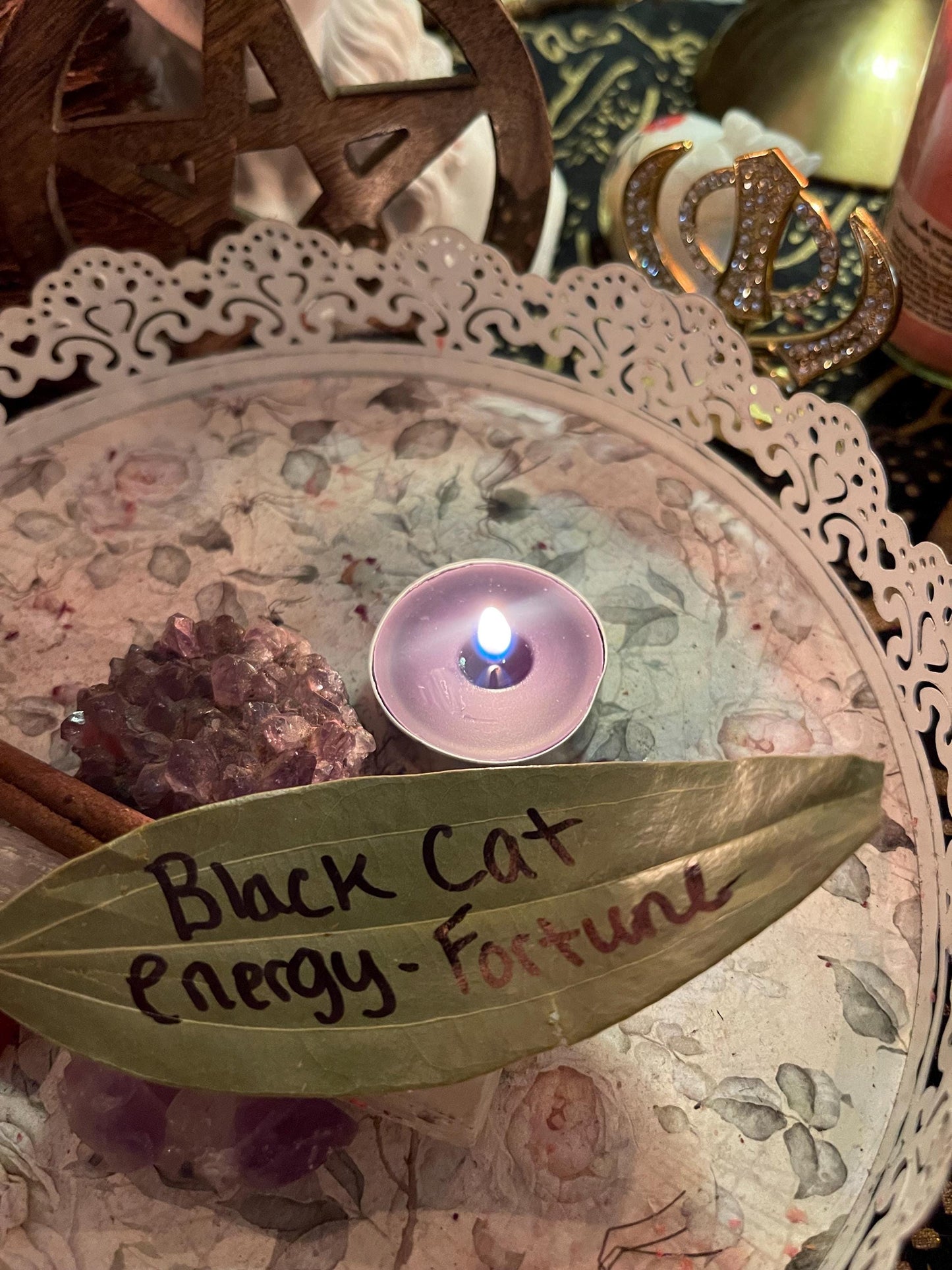 Black Cat Energy Spell- Fortune, Success, Boss Bitch Energy
